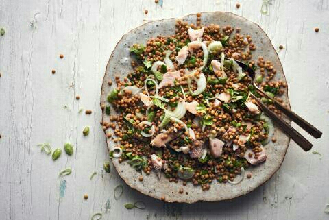 Salade de poisson aux lentilles