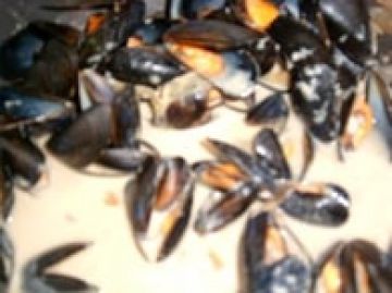 Moules à la crème