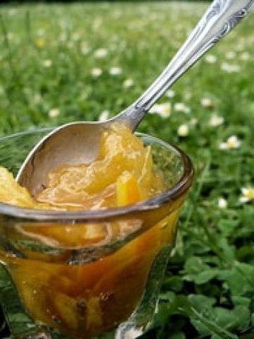 Confiture de rhubarbe aux oranges