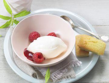 Glace de St Môret framboises et financiers