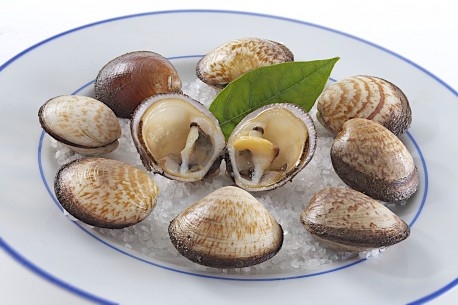 Amandes de mer