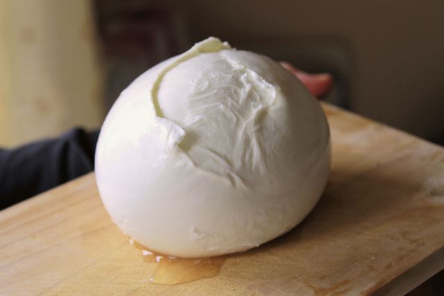 Mozzarella de buflone