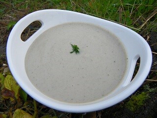 Crème de champignons