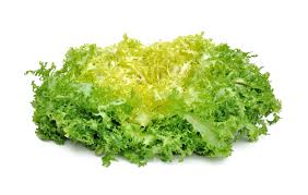 Salade frisée